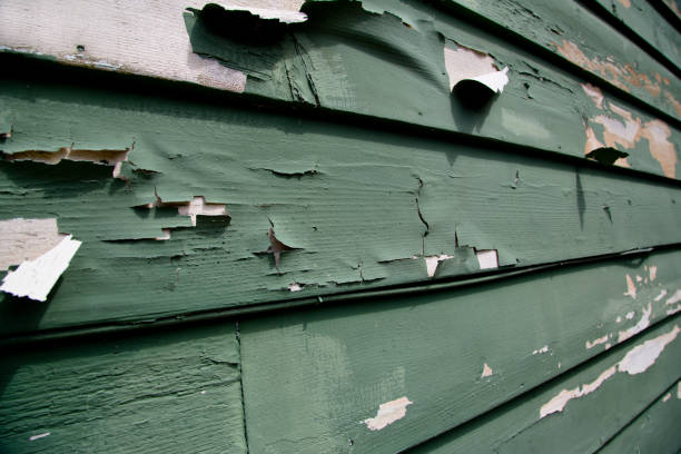 Best Electronics and E-Waste Disposal  in Sparta, MI