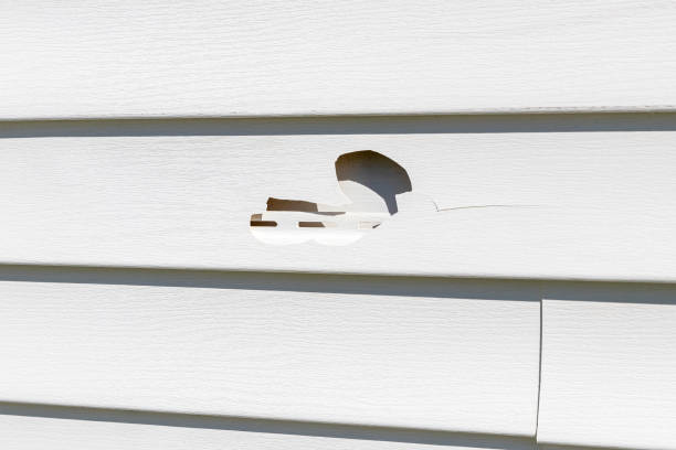 Best Furniture Removal  in Sparta, MI