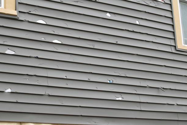 Best Dumpster Rental Services  in Sparta, MI