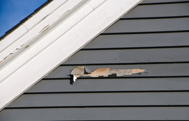 Best Residential Junk Removal  in Sparta, MI